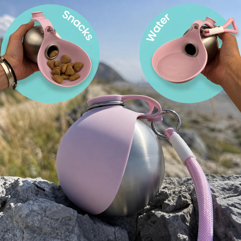 Pet bottle showing water bowl and snacks